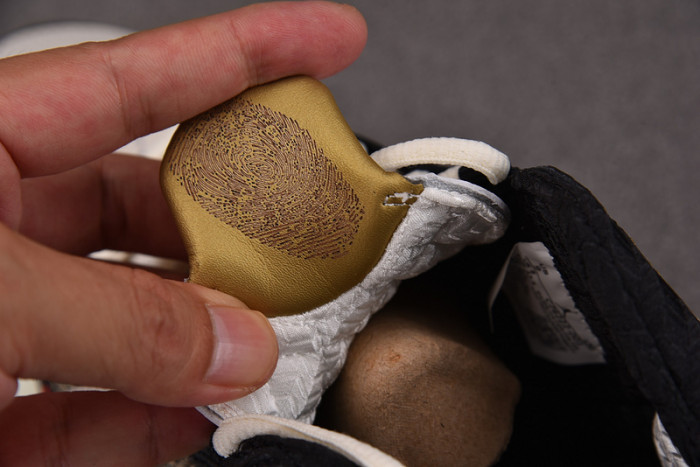 Titan x Air Jordan 23 CZ6222-001