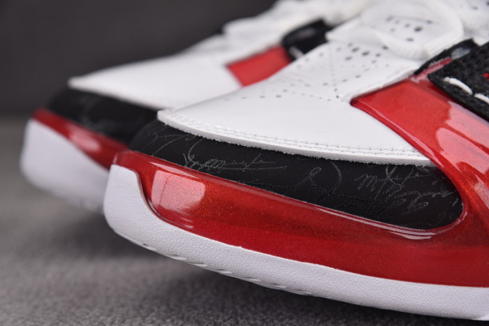 Titan x Air Jordan 23 318376-061