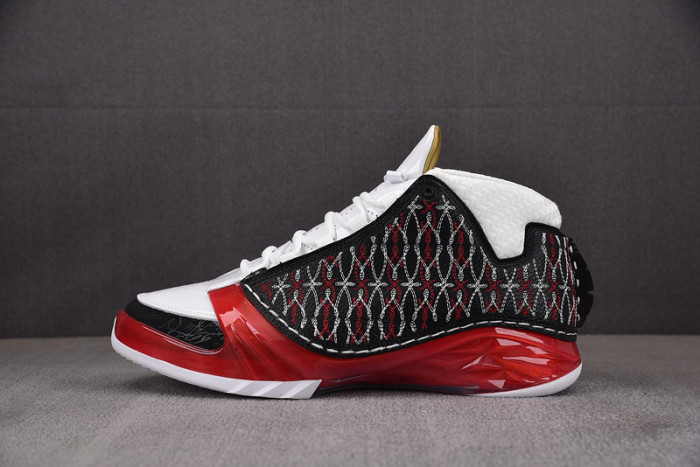 Titan x Air Jordan 23 318376-061