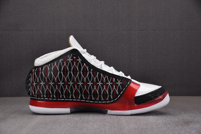 Titan x Air Jordan 23 318376-061