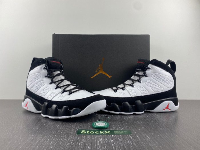 Air Jordan 9 302370-112