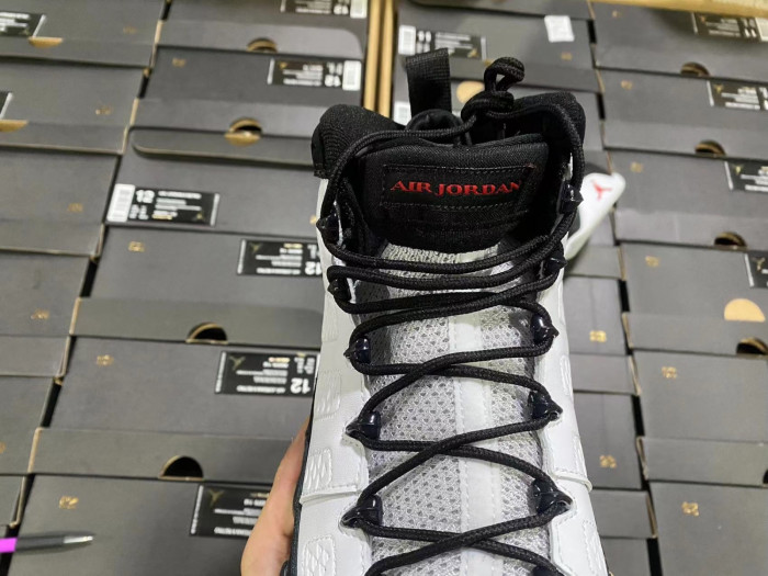Air Jordan 9 302370-112